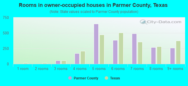 Rooms in owner-occupied houses in Parmer County, Texas