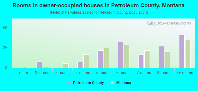 Rooms in owner-occupied houses in Petroleum County, Montana