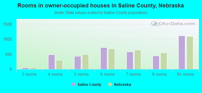 Rooms in owner-occupied houses in Saline County, Nebraska