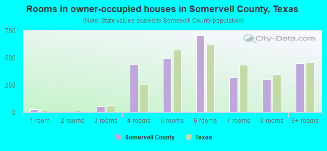 Rooms in owner-occupied houses in Somervell County, Texas