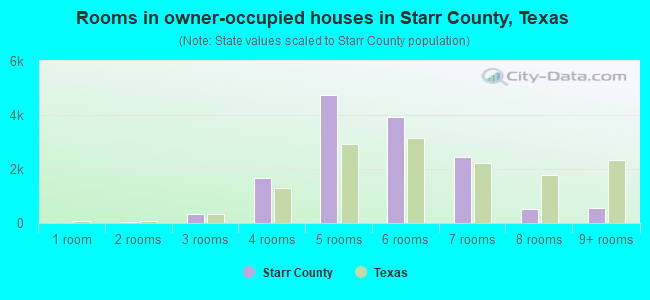 Rooms in owner-occupied houses in Starr County, Texas