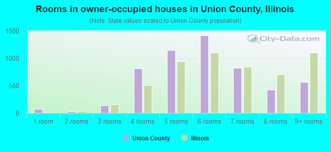 Rooms in owner-occupied houses in Union County, Illinois