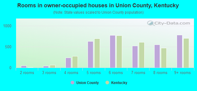 Rooms in owner-occupied houses in Union County, Kentucky