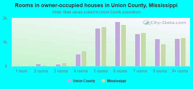Rooms in owner-occupied houses in Union County, Mississippi