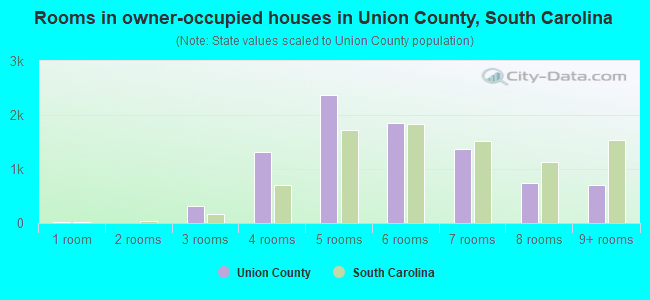 Rooms in owner-occupied houses in Union County, South Carolina