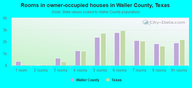 Rooms in owner-occupied houses in Waller County, Texas