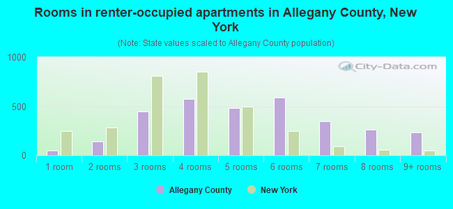 Rooms in renter-occupied apartments in Allegany County, New York