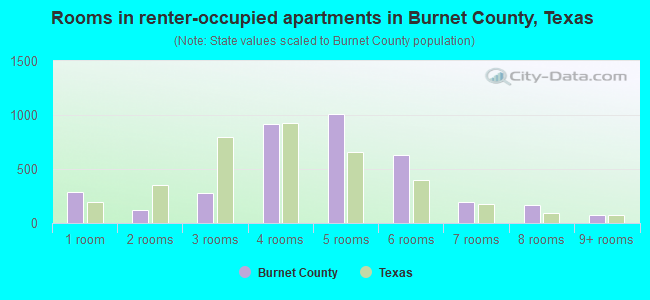 Rooms in renter-occupied apartments in Burnet County, Texas