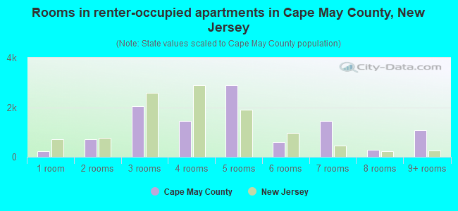Rooms in renter-occupied apartments in Cape May County, New Jersey