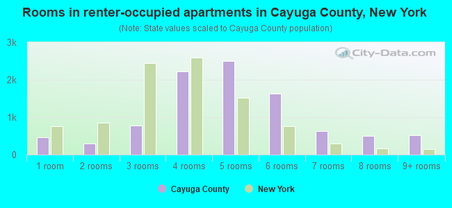 Rooms in renter-occupied apartments in Cayuga County, New York