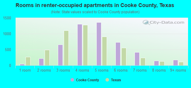 Rooms in renter-occupied apartments in Cooke County, Texas
