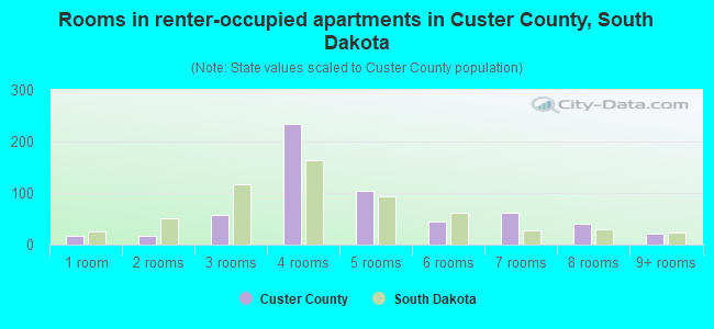 Rooms in renter-occupied apartments in Custer County, South Dakota