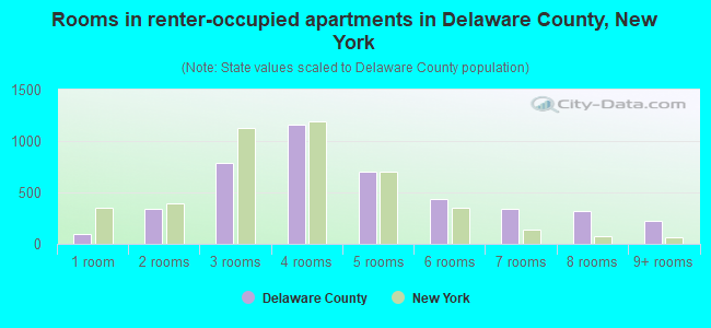 Rooms in renter-occupied apartments in Delaware County, New York
