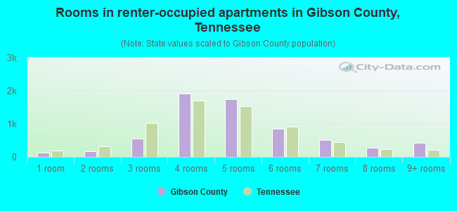 Rooms in renter-occupied apartments in Gibson County, Tennessee