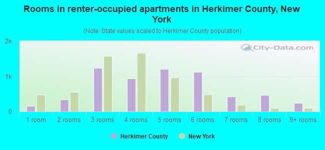 Rooms in renter-occupied apartments in Herkimer County, New York