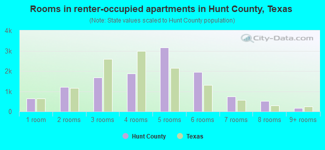 Rooms in renter-occupied apartments in Hunt County, Texas