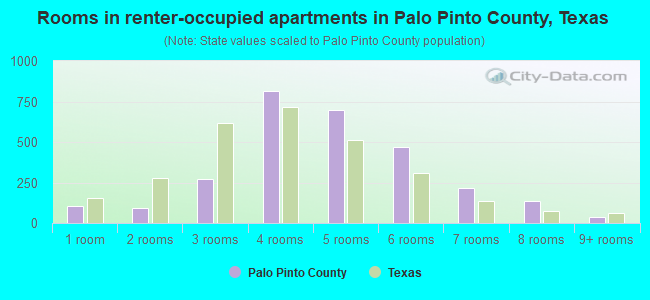 Rooms in renter-occupied apartments in Palo Pinto County, Texas