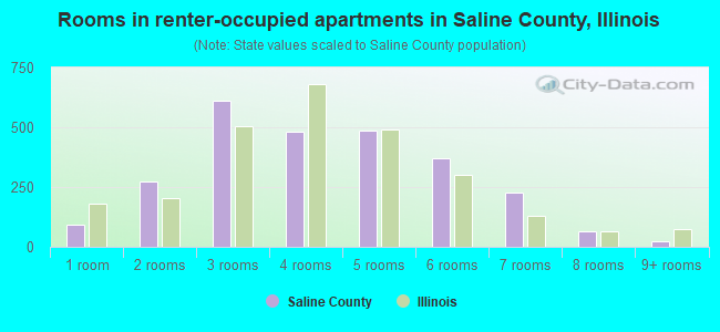 Rooms in renter-occupied apartments in Saline County, Illinois