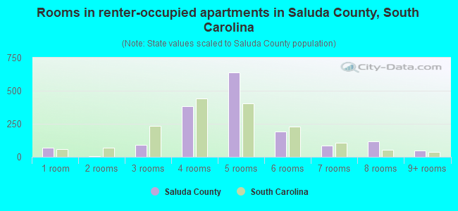 Rooms in renter-occupied apartments in Saluda County, South Carolina