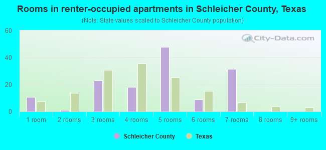 Rooms in renter-occupied apartments in Schleicher County, Texas