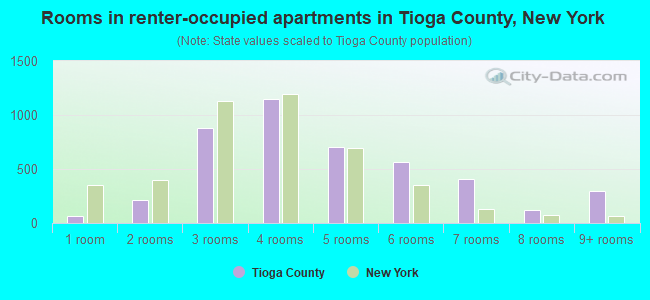 Rooms in renter-occupied apartments in Tioga County, New York