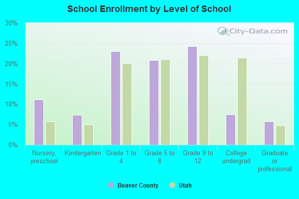 School Enrollment by Level of School