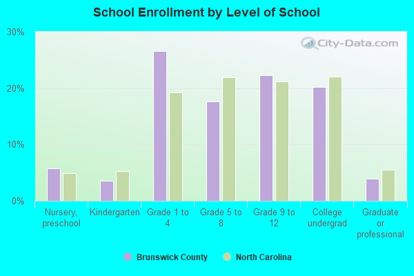 School Enrollment by Level of School