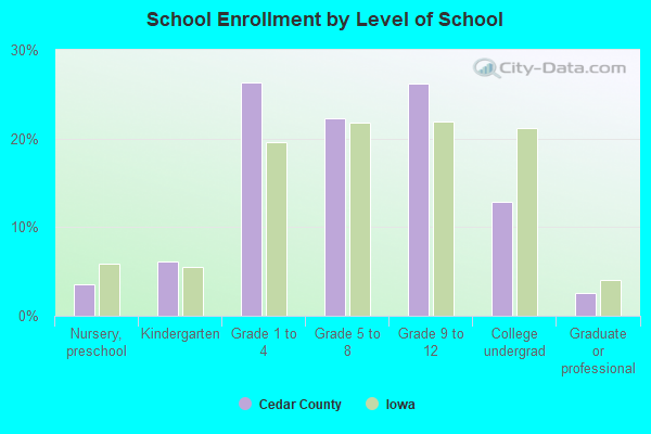 School Enrollment by Level of School