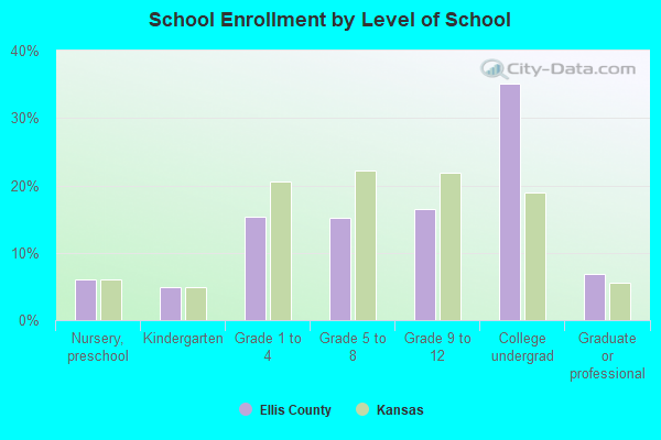 School Enrollment by Level of School