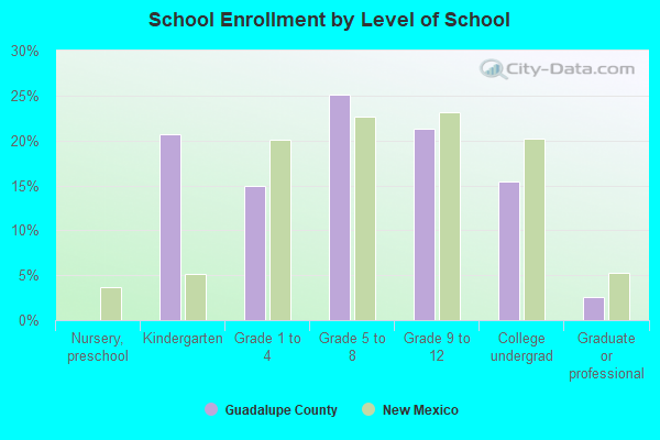 School Enrollment by Level of School