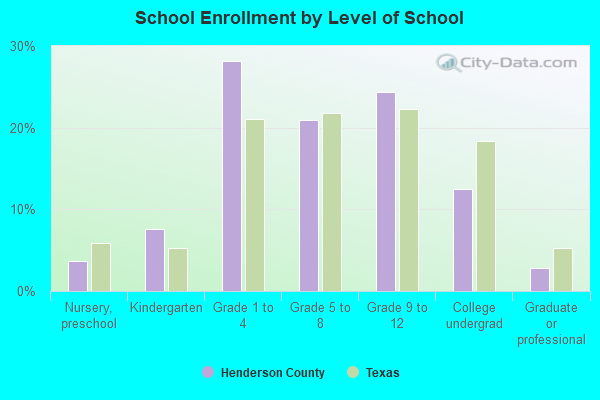 School Enrollment by Level of School