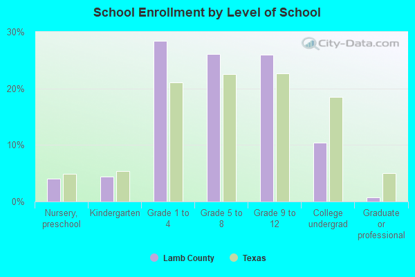 School Enrollment by Level of School