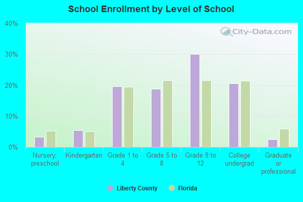 School Enrollment by Level of School