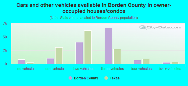 Cars and other vehicles available in Borden County in owner-occupied houses/condos