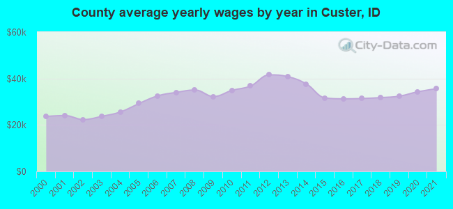 County average yearly wages by year in Custer, ID