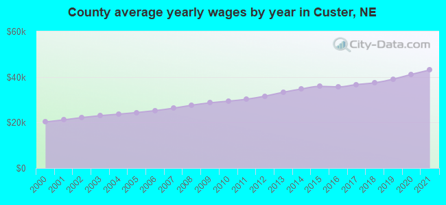 County average yearly wages by year in Custer, NE