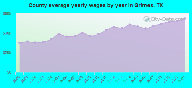 County average yearly wages by year in Grimes, TX