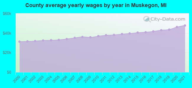 County average yearly wages by year in Muskegon, MI