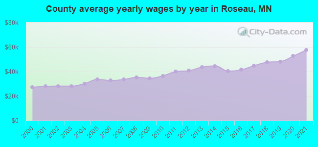 County average yearly wages by year in Roseau, MN