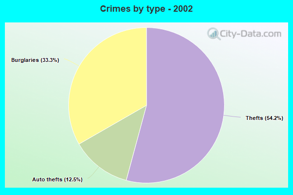 Crimes by type - 2002