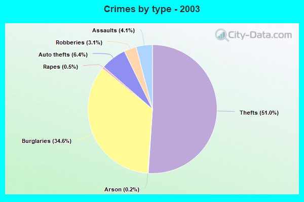 Crimes by type - 2003
