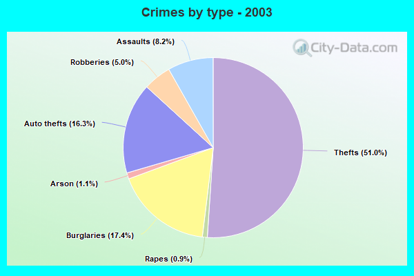 Crimes by type - 2003