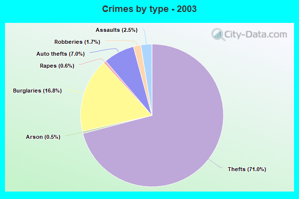 Crimes by type - 2003