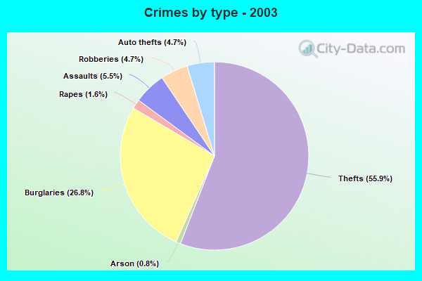 Crimes by type - 2003