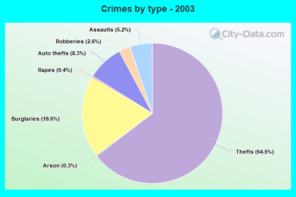 Crimes by type - 2003