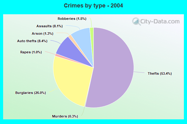 Crimes by type - 2004