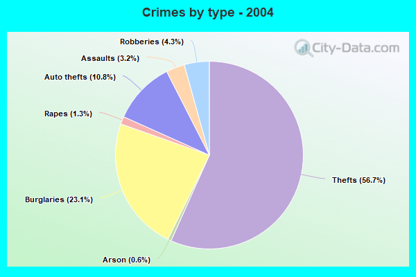 Crimes by type - 2004