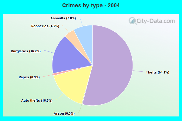 Crimes by type - 2004