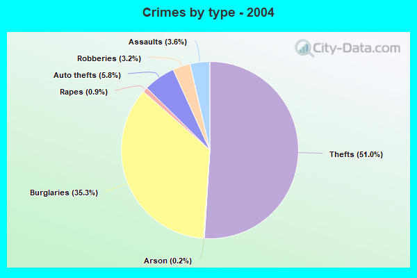 Crimes by type - 2004