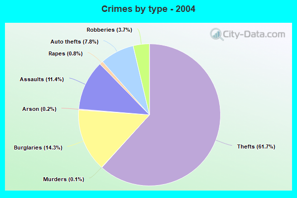 Crimes by type - 2004